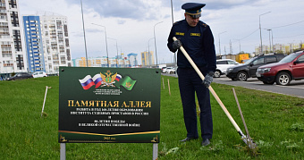 Приставы в Саранске очистили аллею от некоторых елей