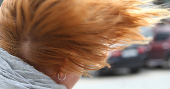 В Мордовии снова ожидается ветер до 20 м/с 