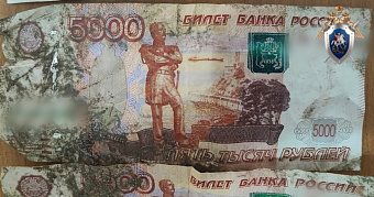 Экс-сотрудника ГАИ Мордовии осудят за коррупцию 