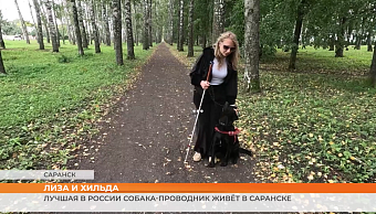 ▶️ Видеоновости | 8 сентября 2026 года