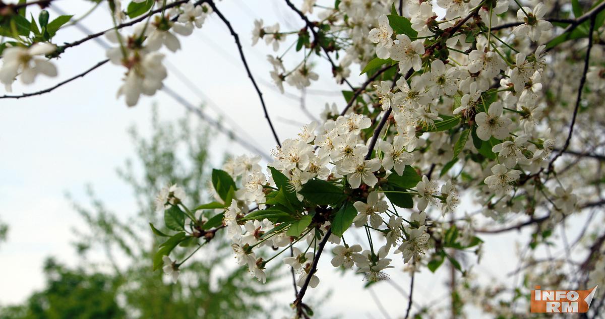 Озвучен прогноз погоды на майские праздники 