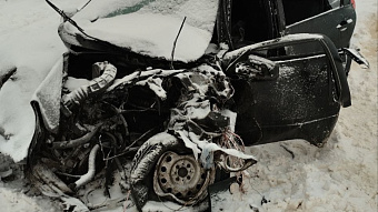 В Мордовии «Калина» вылетела под фуру: трое в больнице