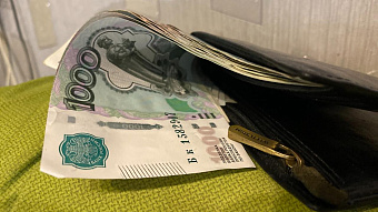 Чужой кошелек довел жительницу Саранска до суда 