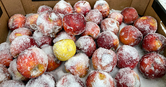 Синоптики предупреждают о возвращении морозов 