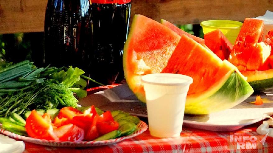 Стоимость пикника в Мордовии — одна из самых низких в стране