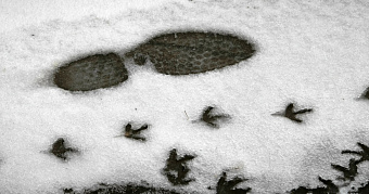 В Мордовии выпал снег 