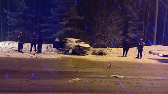 Лобовое ДТП в Мордовии: двое в больнице, женщина и девочка погибли