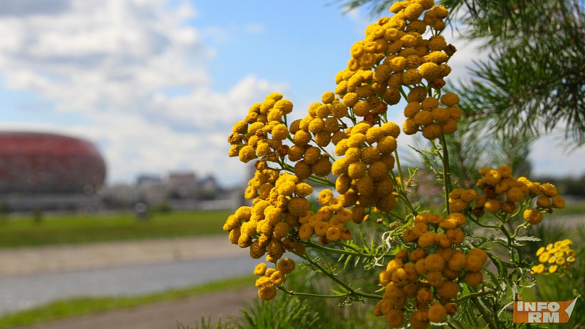 В пятницу в Мордовии до +22°С