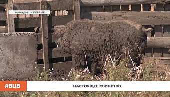 ▶️ Программа "В центре внимания" | Выпуск №1 от 2 октября 2026 года
