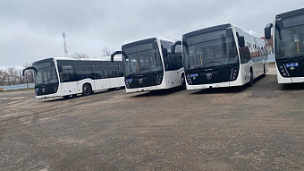 Российские регионы получили больше 330 новых автобусов 