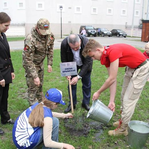 В Саранске посадили крымскую сосну: фоторепортаж
