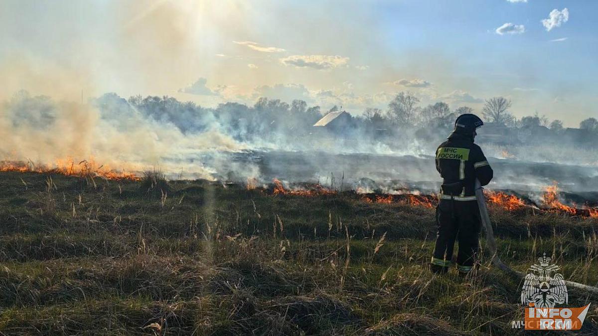 В Мордовии сгорело более 4 га сухой травы