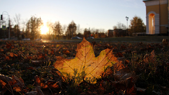 Мордовия не дотянула до температурного рекорда