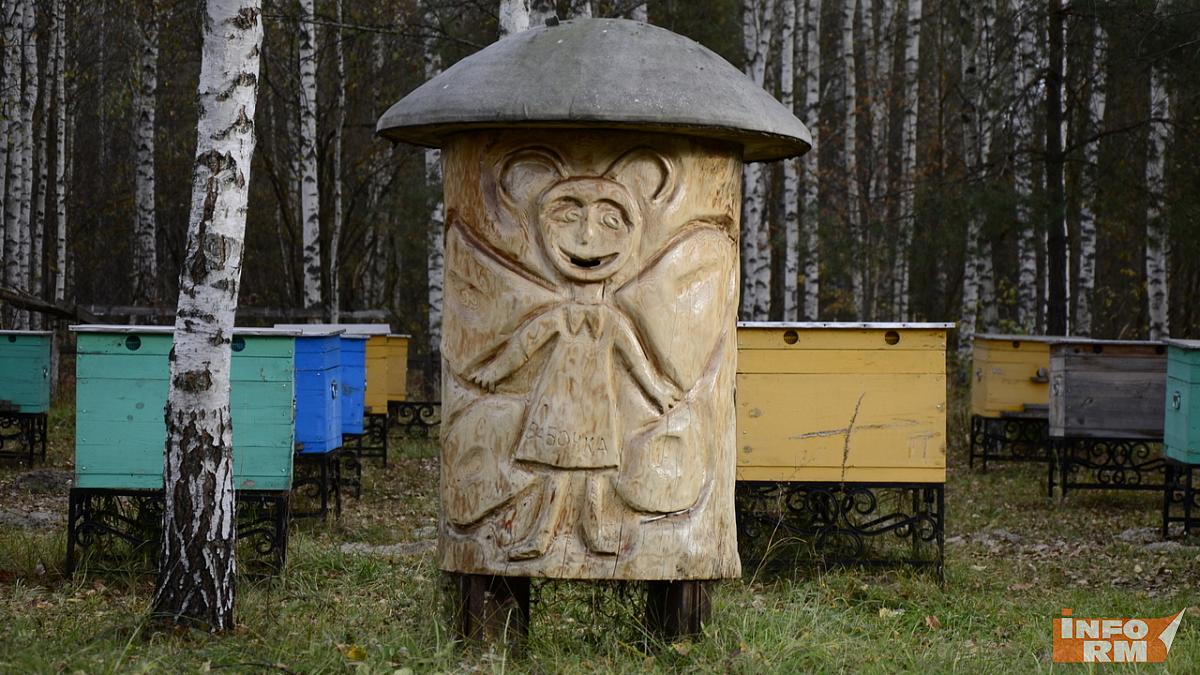 Фермера в Мордовии оштрафовали за опасное для пчёл молчание  Фермера в Мордовии оштрафовали за опасное для пчёл молчание