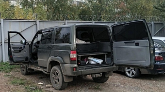 В Мордовии убийца двух лосей пытался выдать их мясо за свинину
