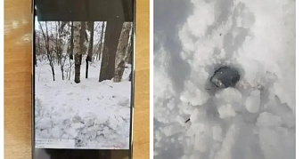 Молодым нижегородцам в Мордовии дали 18,5 лет строгого режима на двоих 