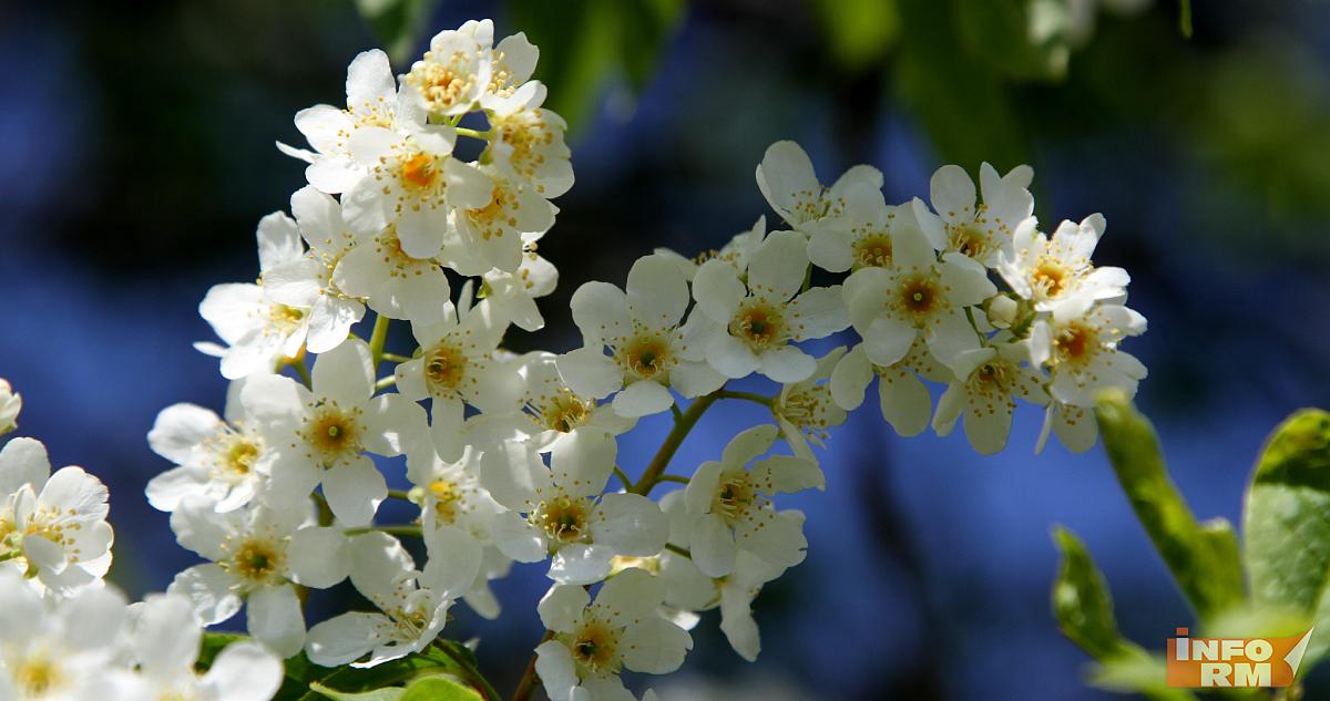 Майские праздники: россиянам напомнили о грядущих выходных 