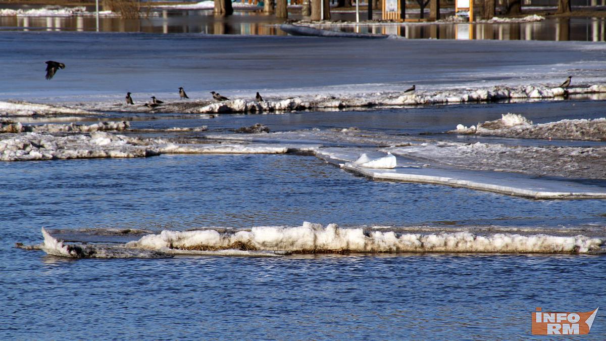Погода в Мордовии берёт курс на весну