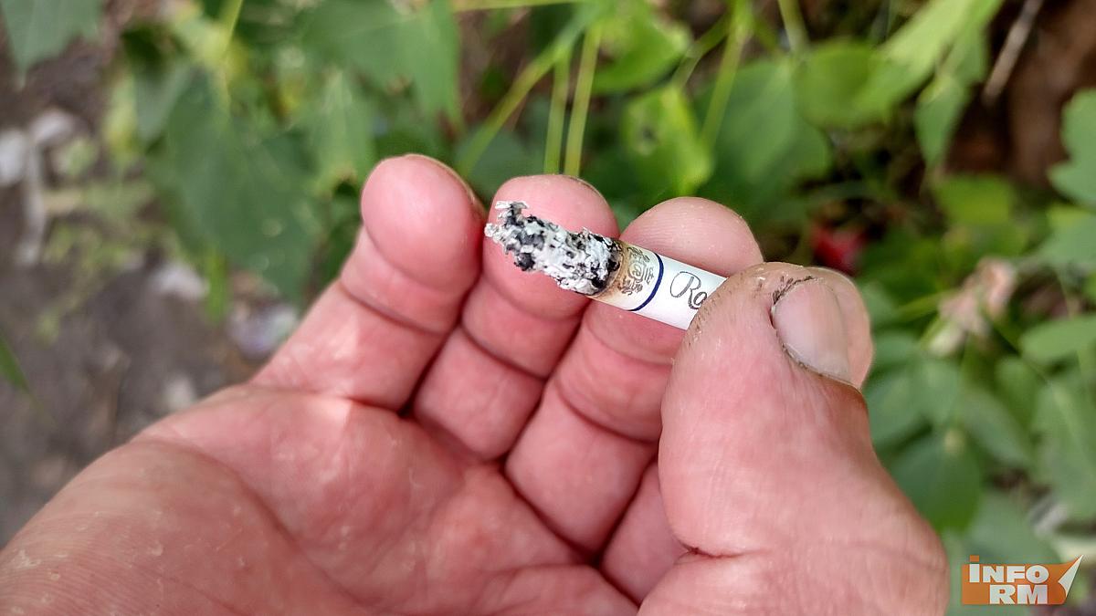 В Мордовии сгорело 3 га сухой травы