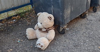 На борьбу с мусором в железнодорожной столице Мордовии потратят 600 тысяч рублей 