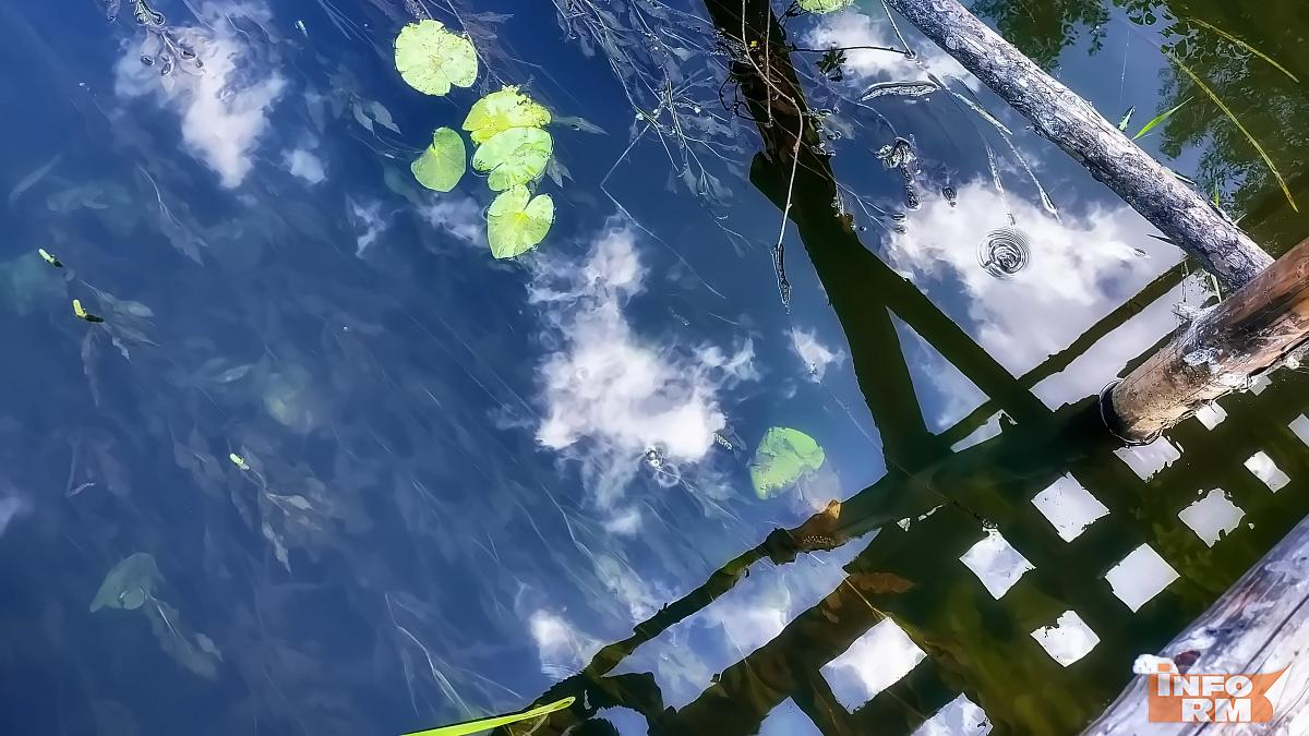 В Мордовии «Водоканал+» наказали за нелегальную добычу воды В Мордовии «Водоканал+» наказали за нелегальную добычу воды