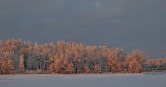 В Мордовии ожидаются 32-градусные морозы 