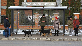 В транспорте Саранска отремонтируют автоинформаторы