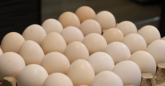 Калёные яйца: жителям Мордовии напомнили старинный рецепт 