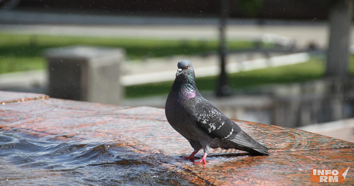 Что подарить на 8 Марта: россиянки рассказали о своих предпочтениях 
