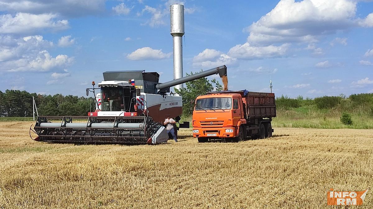 В Мордовии на развитие АПК и сел выделено 2,2 миллиарда рублей