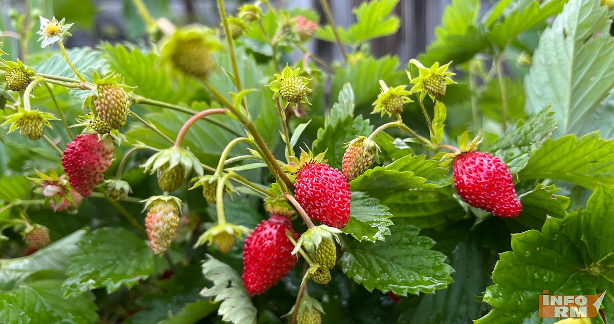 У заповедника в Мордовии захватили больше 3 тысяч квадратных метров земли 