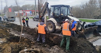 В Саранске на дороге у «Мордовия Арены» начали сажать тополя 