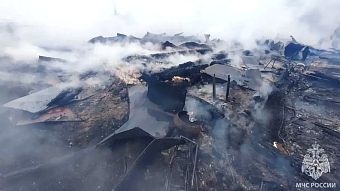 В Темниковском районе сгорел дачный дом