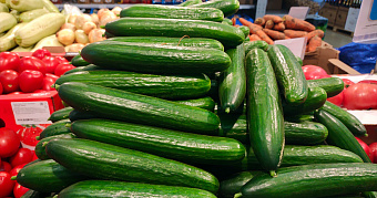 Больше всего в Мордовии подорожали огурцы и водка 