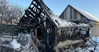 Пожарные в Мордовии спасли частный дом 