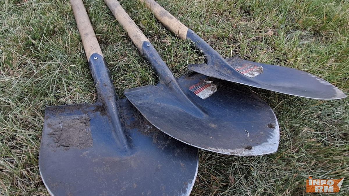 У роддома в Саранске высадили сосновую аллею 