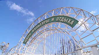 Парки Саранска обрабатывают от клещей