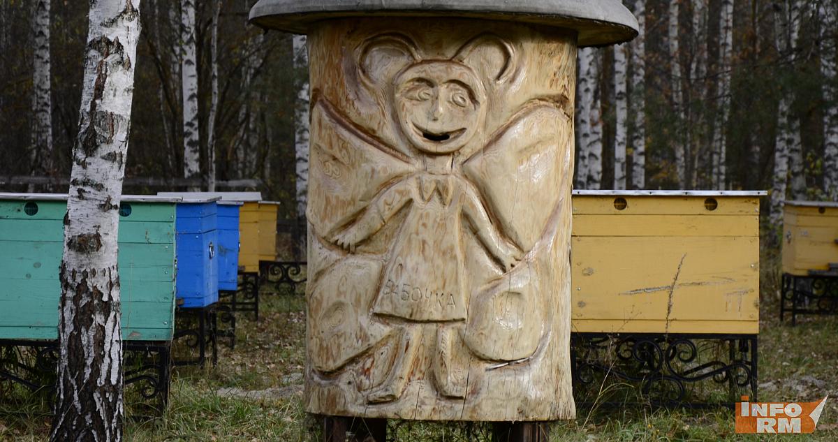 Мордовия 15 августа примет фестиваль мёда 