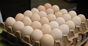 Предпасхальная ярмарка в Саранске состоится 4 апреля 