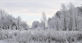 Отмена школьных занятий в Мордовии: список районов 