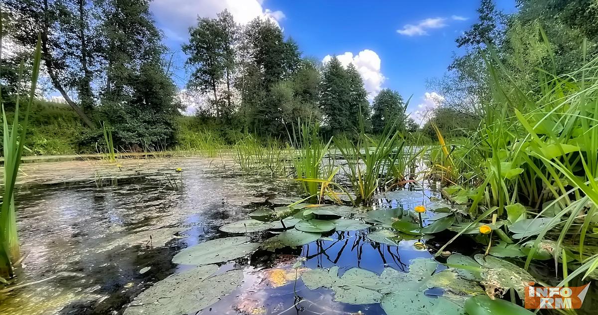 Пропавший житель Мордовии найден мёртвым 