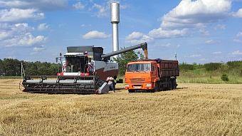 В Мордовии на развитие АПК и сел выделено 2,2 миллиарда рублей