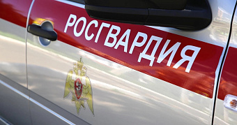 Жительницу Саранска поймали при попытке снова обокрасть гипермаркет 