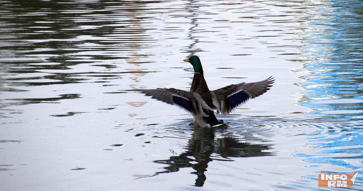 В Мордовии ожидается туман и до +12°С 