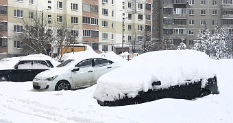 Перечень освобождённых от транспортного налога расширят 