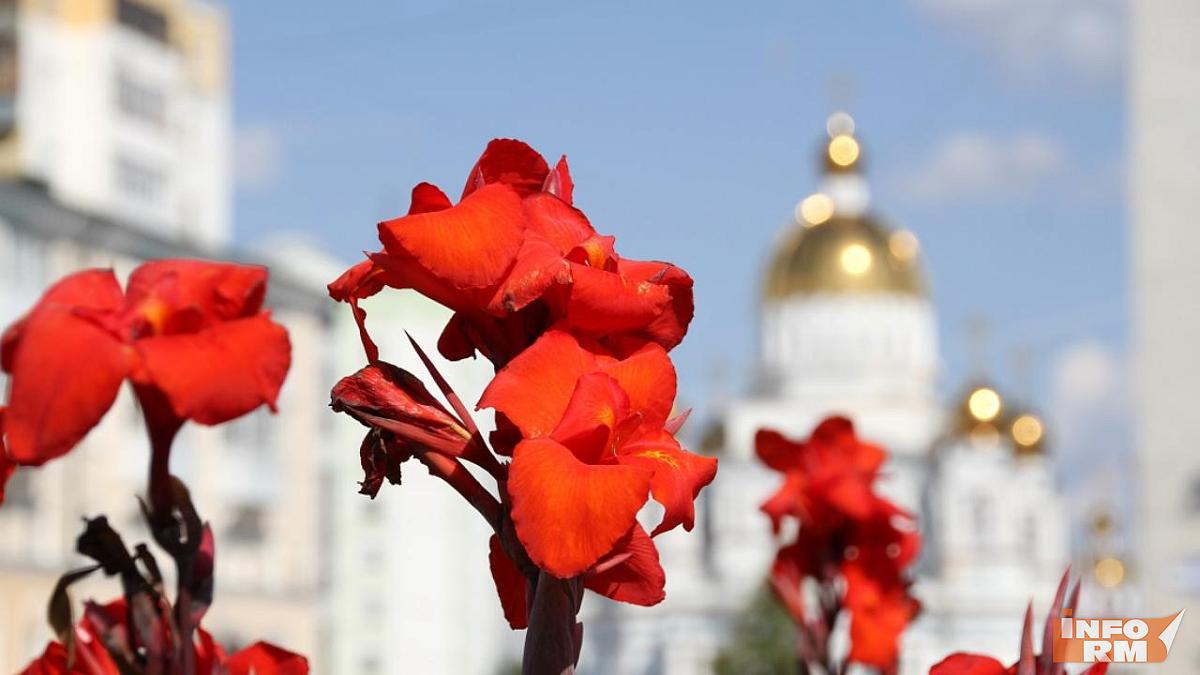 День России и города в Саранске порадует рокеров и детей