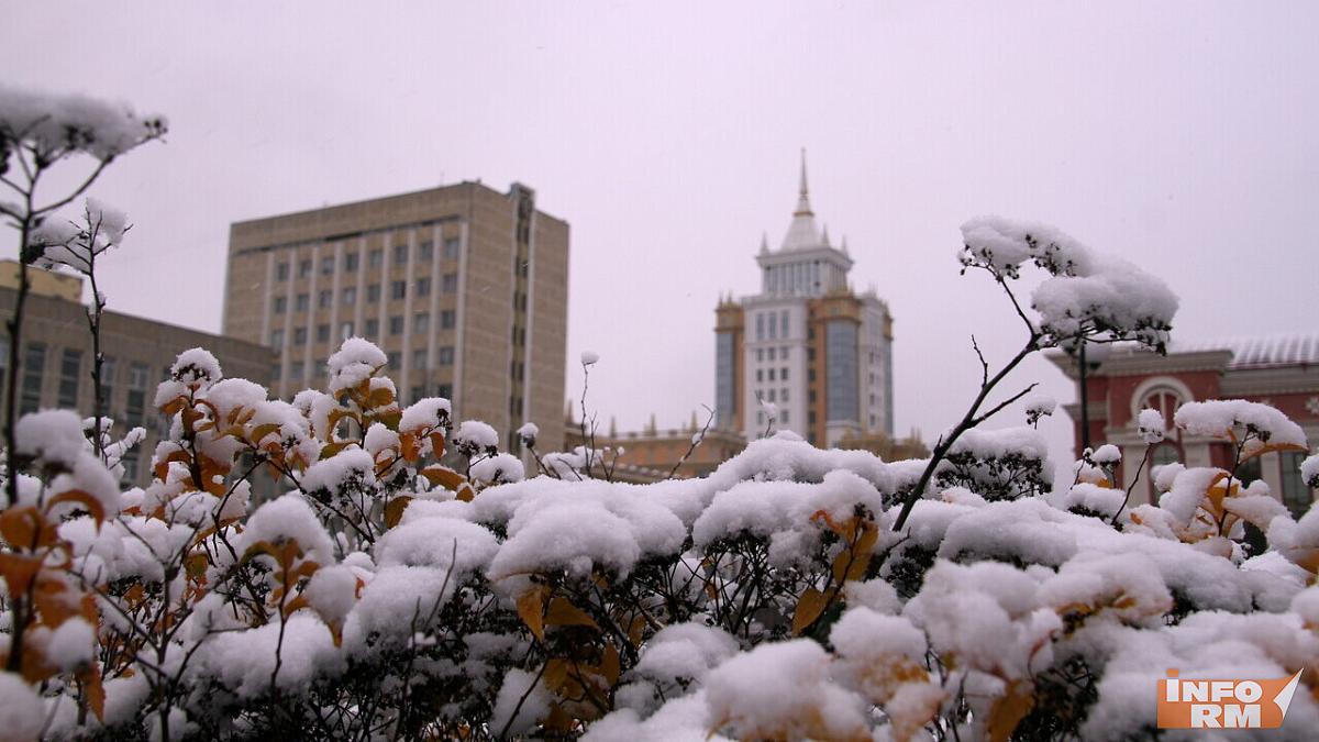 Зимы не ждите: озвучен прогноз на первые дни декабря 