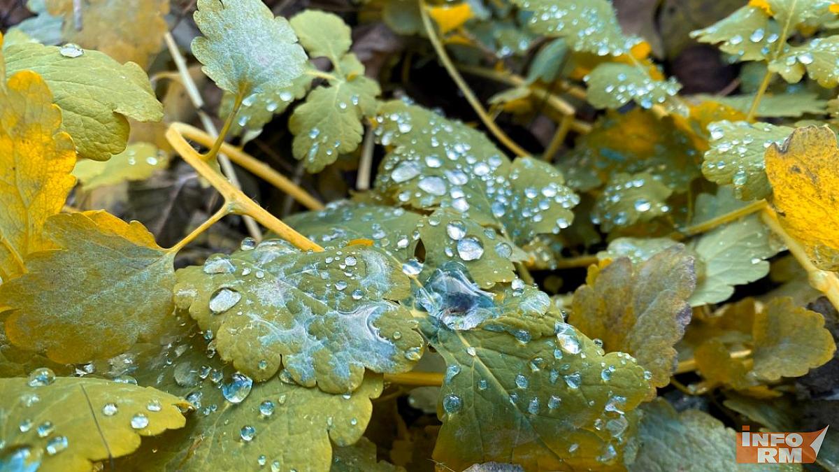 Ноябрь в Мордовии будет аномально тёплым