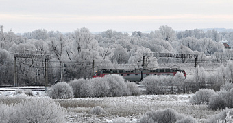 Жительница Мордовии погибла под колёсами поезда 