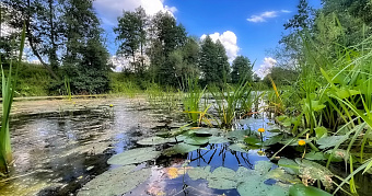 Пропавший житель Мордовии найден мёртвым 
